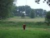 dsc04486_t1.jpg