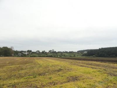 sp8prl_lhr05_016.jpg