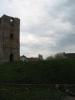 img_1631_t1.jpg