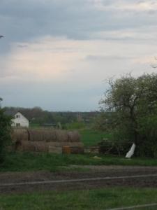 img_1636.jpg