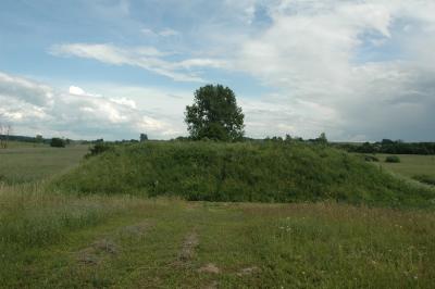 image003.jpg