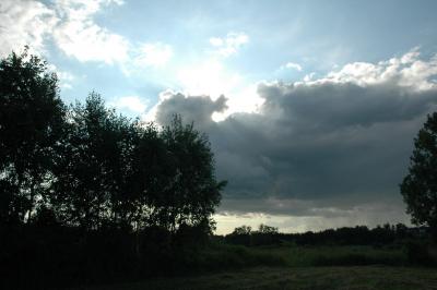 image028.jpg