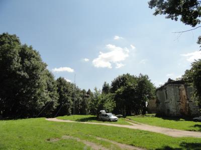 13.jpg
