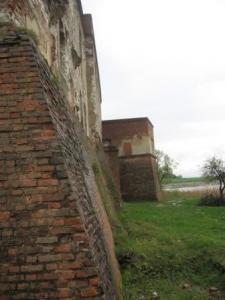 img_1653.jpg