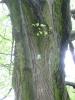 img_1642_t1.jpg