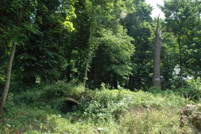 dsc_7175.jpg