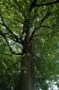 dsc_7258_t1.jpg
