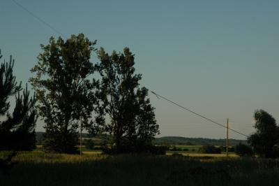 dsc_7287.jpg
